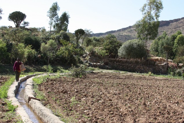 Ethiopia – Irrigation systems for drought resilience